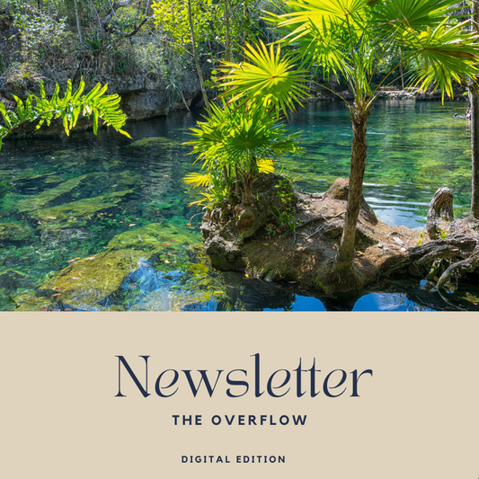 The Overflow — Digital Edition