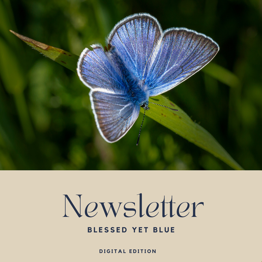 Blessed Yet Blue — Digital Edition