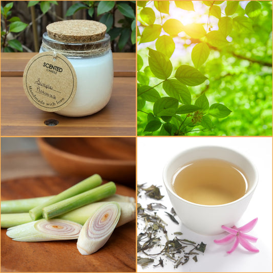 Collage of a scented candle, green leaves, lemongrass, and a cup of tea representing scent notes of candle fragrance blend.