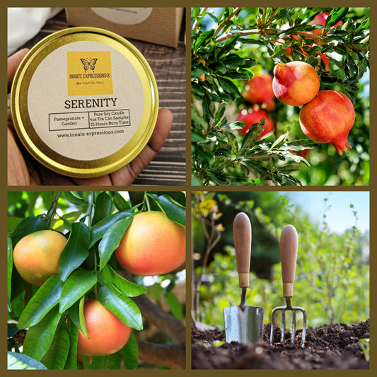 Signature Candle Sampler Trio – Experience All Three Signature Scents