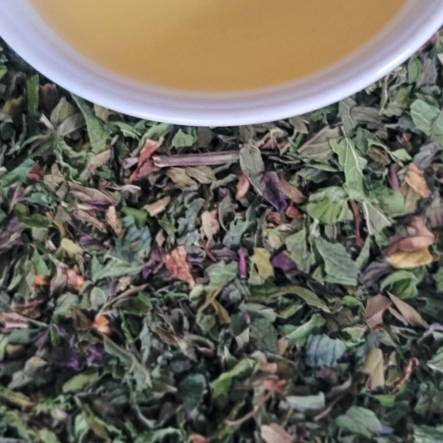 Signature Mint - Sampler Size