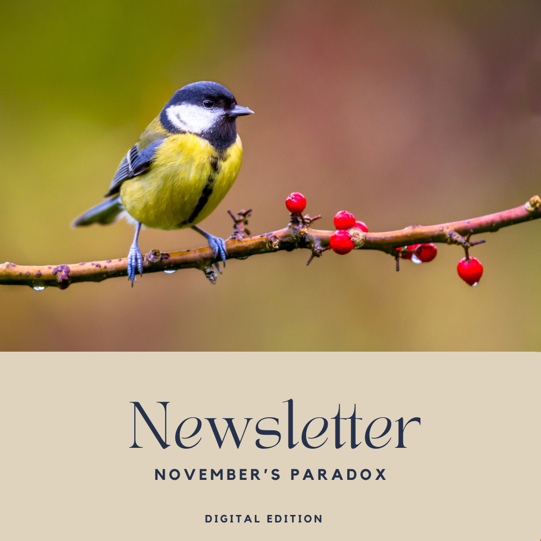 November's Paradox — Digital Edition