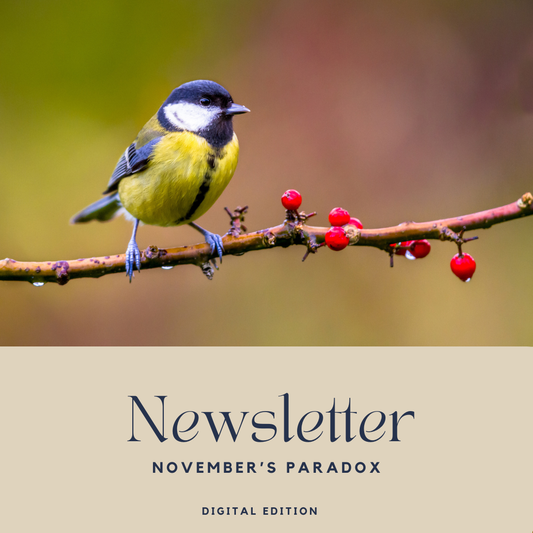 November's Paradox — Digital Edition