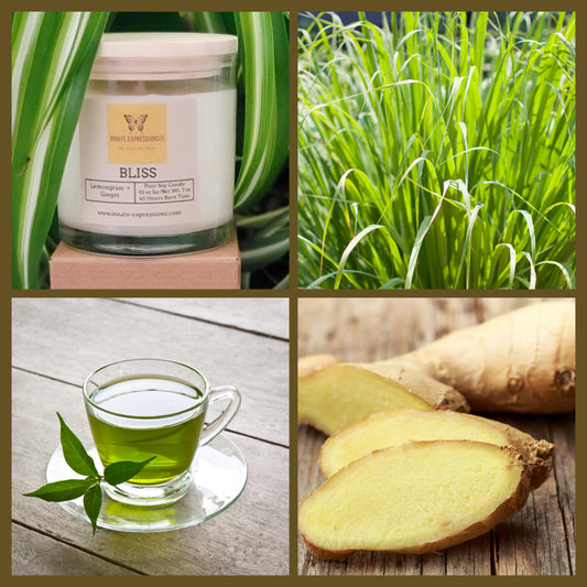 Bliss Soy Candle – Elevate Your Senses with a Refreshing Fusion